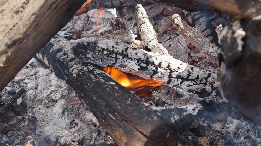 7 Reasons Why It Is Important To Know How To Build A Fire In The Wilderness
